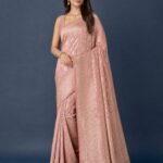 Pure Katan silk Banarasi handloom Jaal work