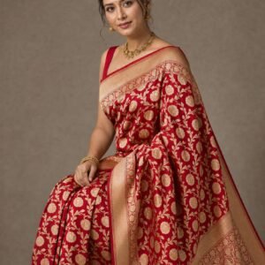 Pure Katan silk Banarasi handloom Jaal work